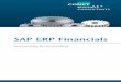 SAP ERP Financials - conet.de File/Flyer-SAP-   SAP BPC & GRC SAP BPM. Unsere Vorgehensweise Unsere