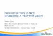 Forest Inventory in New Brunswick: A Year with LiDAR · Forest Inventory in New Brunswick: A Year with LiDAR Adam Dick New Brunswick Department of Natural ... Merchantable quadratic