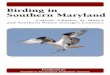 Birding in Southern Marylandsomdaudubon.org/wp-content/uploads/2014/07/SorzanoBrochure2010.pdf · others discover the riches of birding in Southern Maryland. 2 Calvert County 