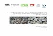 Developing clam aquaculture in Australia: a feasibility ... · the SARDI internal review ... be published in formal peer-reviewed scientific literature. ... cage for on-bottom culture