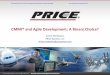 CMMI® and Agile Development: A Binary Choice? · CMMI® and Agile Development: A Binary Choice? ... – SP 2.1 - Obtain specified ... – GP 2.2 – Establish and maintain the plan