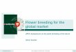 Flower breeding for the global market€¦ · Flower breeding for the global market ... • Gladiolus • Osteospermum ... Flowering Calibrachoa Breeding Methods and Plants Produced