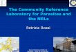The Community Reference Laboratory for Parasites and the …old.iss.it/binary/crlp/cont/CRLP PRESENTATION_ROSSI.1190113883.pdf · Cellular biology of ... Interlaboratory comparison