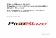 PicoBlaze 8-bit Embedded Microcontroller User Guide · PicoBlaze 8-bit Embedded Microcontroller User Guide for Spartan-3, ... PicoBlaze 8-bit Embedded Microcontroller 7 ... VHDL Design
