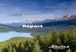 Superintendent of Pensions 2016 Report - Alberta · SUPERINTENDENT OF PENSIONS – 2016 REPORT 1 ... provides summary of key trends over the decade ... • The short and long‑term