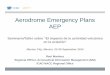 Aerodrome Emergency Plans AEP · Aerodrome Emergency Plans AEP ... • Chapter 9, Section 9.1 Aerodrome Emergency ... • Airport Services Manual ,Part 7 — Airport Emergency Planning