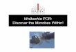 Wolbachia PCR: Discover the Microbes Within! - babec.orgbabec.org/wp-content/uploads/2016/12/Wolbachia_PCR_Presentation.… · that exhibits Wolbachia-induced parthenogenesis 