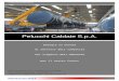 Pelucchi Caldaie S.p.A. - gruppoatr.comgruppoatr.com/wp-content/uploads/2016/06/company-profile-2016-it.pdf · da motori endotermici gasolio agricoli (sansa, vinacce, etc..) da fornidi