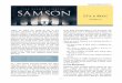 Samson Series Study #1bfccb5f2f6f74f7b9d89-412e0d40d170d085879e1123d6ebba41.r5.cf2.ra… · the Israelites—iron. ... Samson Series Study #1 Samson liked to watch the men get ready