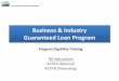 Business and Industry (B&I) Guaranteed Loan Program … Farm Credit Bank, other Farm Credit System institution with direct lending authority, Bank for Cooperatives, Savings and Loan,