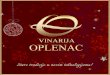 topolaoplenac.org.rs MUZEJ (30min) Degustacija belog ili crvenog vina Belo vino - VILLA (Eaša-Cuvee, Chardonnay, Muscat Ottonel, Sauvignon blanc, Traminac ili Rose) Crveno vino -