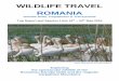 WILDLIFE TRAVEL ROMANIAwildlife-travel.co.uk/wp-content/uploads/2017/06/Romania...WILDLIFE TRAVEL ROMANIA Danube Delta, Carpathians & Transylvania Trip Report and Species Lists 15th
