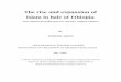 The rise and expansion of Islam in Bale of Ethiopia However, this study focuses on the factors that contributing for the rise and expansion of Islam with particular reference on the
