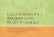 OBSERVATIONS ON THE BRAZILIAN CITRUS …swfrec.ifas.ufl.edu/docs/pdf/squeezer/2013/june/Tom-OBSERVATIONS ON...OBSERVATIONS ON THE BRAZILIAN CITRUS INDUSTRY – June 2013 Presented