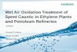 Wet Air Oxidation Treatment of Spent Caustic in Ethylene ... F/Wet Air Oxidation Treatment of... · Wet Air Oxidation Treatment of Spent Caustic in Ethylene Plants ... Naphthenic