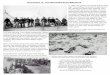 Document 11: The Wounded Knee Massacre - Mesa … 11: The Wounded Knee Massacre In 1890, the Lakota had fought all they could fight. The buffalo, the center of daily life for the Lakota