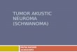 TUMOR AKUSTIC NEUROMA (SCHWANOMA)€¦ · PPT file · Web view2016-05-10 · Neuroma akustik atau yang dikenal sebagai swanoma vestibular, neurolemmoma, atau tumor nervus VIII. Tumor