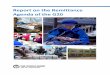 Report on the Remittance Agenda of the G20 - World Banksiteresources.worldbank.org/EXTFINANCIALSECTOR/Resources/282884... · five years, which became known as the “5x5 Objective”
