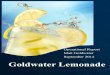 Operational Report Matt Goldwater September 2014 ... method we expect to stabilize daily profit and increase our net profit. Goldwater Lemonade experienced an extremely positive month