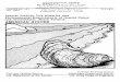 Species Profiles: Life Histories and Environmental ... · AMERICAN OYSTER Mark A. Sellers ... They are the keystone spe- ... LIFE HISTORY Spawning Gametogenesis and spawning are