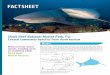 FACTSHEET - Sharks: mythologized, feared, revered · role sharks play in ... This factsheet was produced as part of a collaboration between Manta Trust, ... including difference of
