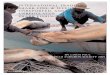 INTERNATIONALTRADE IN SHARK FINS, & ILLEGAL, …pacfish.org/pub09/sharktrade.pdf · INTERNATIONALTRADE IN SHARK FINS, & ILLEGAL, ... & ILLEGAL, UNREPORTED, AND UNREGULATED SHARKFISHING