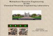 Multiphase Reaction Engineering At the - Washington …crelonweb.eec.wustl.edu/files/2009.pdf · 2010-04-12 · Multiphase Reaction Engineering At the ... modeling and single particle