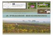 Willa Cather My Antonia A PRAIRIE BEGINNING - · PDF file2016-01-20 · A PRAIRIE BEGINNING By Mary Jo Adams ... purple New England Asters blooming, we are just beginning to ... Dee