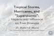 Tropical Storms, Hurricanes, and Superstorms” · Tropical Storms, Hurricanes, and “Superstorms”: ... •Silver maple ... Tropical Storm Irene October 2011: