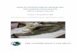 Manual Clínico para el Manejo del Oso Hormiguero Gigante · 2017-07-19 · MANUAL CLÍNICO PARA EL MANEJO DEL OSO HORMIGUERO GIGANTE (Myrmecophaga tridactyla ... manipulación de