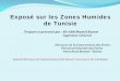 Les Zones humides de Tunisie - archive.ramsar.orgarchive.ramsar.org/pdf/mtg/LAS/TUNISIA.pdf · Point focal Ramsar -Tunisie. ... Certaines plantes sont utilisées dans le domaine de