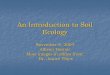 An Introduction to Soil Ecology - Cornell University Eco 3.pdf · An Introduction to Soil Ecology November 8, 2004 ... Bradyrhizobium (bacterium ... production, soybeans, etc. Types
