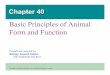 Basic Principles of Animal Form and Function - Quia · 2018-03-22 · Biology, Seventh Edition Neil Campbell and Jane Reece Lectures by Chris Romero Chapter 40 Basic Principles of
