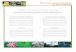 Classifying Rainforest Animals by Their Properties · Classifying Rainforest Animals by Their Properties *A property is a feature or category of an object that is used to classify