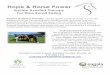 Hope & Horse Power - Flyer Word - Hope & Horse Power - Flyer.docx Created Date 20180228150048Z 