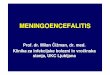 Prof. dr. Milan Čižman, dr. med. Klinika za infekcijske ... · – status epileptikus – toksini. ... Klini čni status, ki kaže na etiologijo meningoencefalitisa • Hepatitis