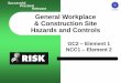 Successful PracticalRelevant General Workplace ... · General Workplace & Construction Site Hazards and Controls ... – Stroboscopic effects / effects on attitudes ... measures are