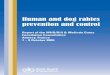 Human and dog rabies prevention and control - .Human and dog rabies prevention and control Report