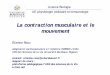 la Contraction Musculaire Et Le Mouvementefisio.online.fr/ensenhament11/PCI/le_muscle.pdf · La contraction musculaire et le mouvement Licence Biologie UE physiologie cellulaire et