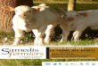 Samedi 8 août 2015 LA FERME DES GENÊTS AOU… · «La ferme de Ker Madeleine» Dans la campagne pontchâtelaine, au milieu des prairies, se niche la Ferme des Genêts