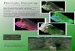 Remote Sensing - Startseite · Remote Sensing Remote sensing is done with Landsat 8 data, MODIS fire data, Finnmap orthophotos, Google Earth and other ... Semi-automatic classification