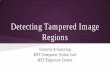 Detecting Tampered Image Regions - IEEEsites.ieee.org/boise-cs/files/2015/09/Victoria-Gunning-talk-slides... · Detecting Tampered Image Regions. Victoria A Gunning. MIT Computer