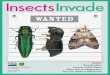 WANTED - Scholastic was developed ... Back Cover WELCOME But many U.S. ... Service research entomologist (a scientist who studies insects). ANSWERS
