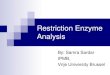 Restriction Enzyme Analysis - IPMB Gazette - Homeipmbgazette.weebly.com/uploads/1/0/3/0/1030249/samra.pdf · Restriction enzyme analysis 