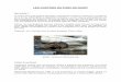 LES CASTORS DU PARC DU MARY - Esneux.be · Guide SPW : Les problèmes de cohabitation avec le castor, Damien Rouvroy (Atta-ché Natura 2000, DNF), 