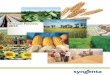 Syngenta Annual Review 2015 2015 Annual Review · 2016-04-07 · Report 2015. The Annual Review includes quantitative and qualitative ... ii Syngenta Annual Review 2015 At a glance