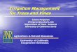 Agriculture & Natural Resources LFerguson@ucdavis.edu ...afghanag.ucdavis.edu/.../files/walnuts/PPT_Irr_Mgt_Trees_Vines.pdf · •Solar radiation . Factors Affecting Irrigation Efficiency: