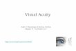 Visual Acuity Acuity â€¢ Minimum Recognizable Acuity - angular size of the smallest Feature that one