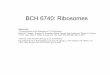 BCH 6740: Ribosomes - University of Floridamsg.mbi.ufl.edu/bch6746/lecture12.pdfBCH 6740: Ribosomes Homework: “Crystal Structure of the Ribosome at 5.5 Å Resolution” Marat M