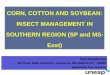 CORN, COTTON AND SOYBEAN: INSECT … COTTON AND SOYBEAN: INSECT MANAGEMENT IN SOUTHERN REGION (SP and MS-East) Prof. Geraldo Papa São Paulo State University, Campus de Ilha Solteira/SP